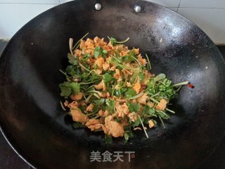 喷鼻菜炒鸡蛋的做法步调：7