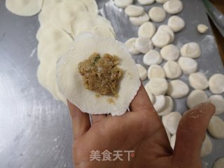 酸菜猪肉饺子的做法步调：10