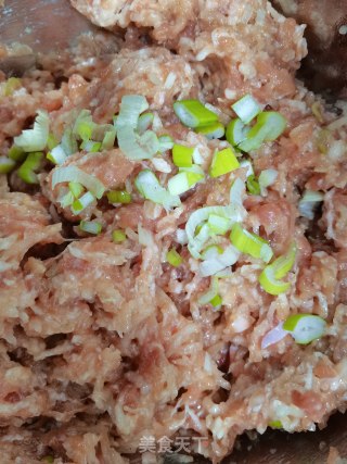萝卜猪肉蒸饺的做法步调：14