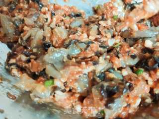 猪肉虾仁利剑菜饺子的做法步调：11