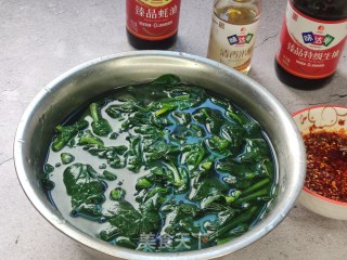 菠菜蛋皮拌粉丝的做法步调：10