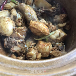 三黄鸡炖羊肚菌的做法步调：6