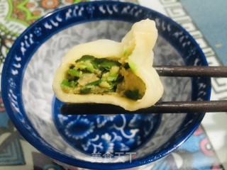 五花肉韭菜火饺的做法步调：15