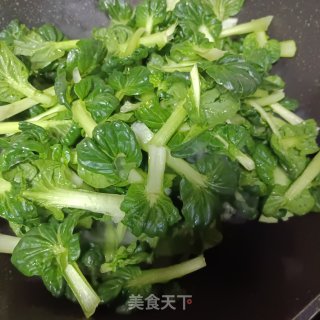 素炒黑塌菜的做法步调：4