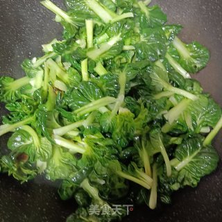 素炒黑塌菜的做法步调：5