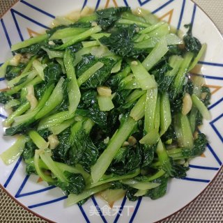 蚝油黑塌菜的做法步调：6