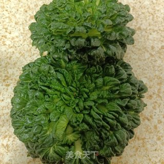 蚝油黑塌菜的做法步调：1