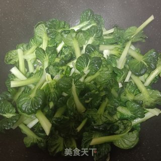 蚝油黑塌菜的做法步调：4