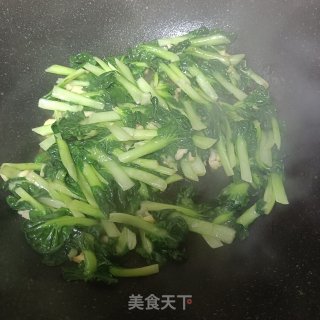 蚝油黑塌菜的做法步调：5