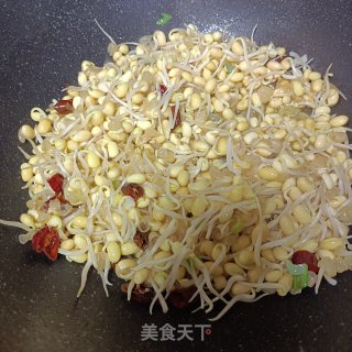 小炒黄芽菜的做法步调：4