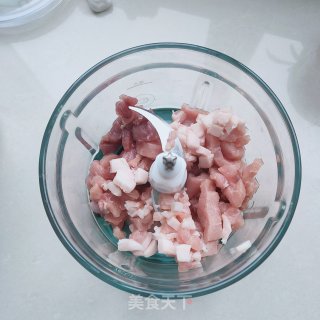 蒜苗猪肉馄饨的做法步调：4
