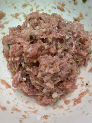 紫菜肉馅饺子的做法步调：4