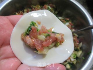 开洋黄心菜肉终馅饺子的做法步调：13