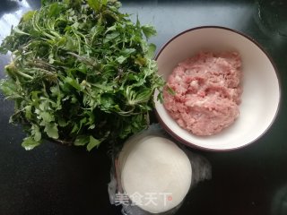 荠菜饺子的做法步调：1