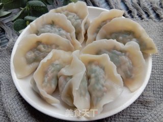 荠菜饺子的做法步调：13