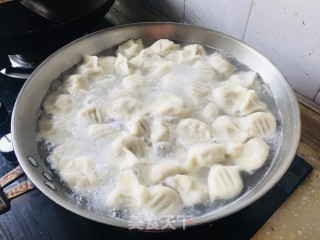 羊肉黄萝卜饺子的做法步调：8