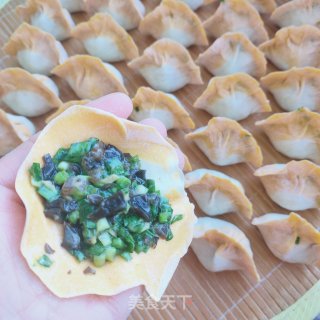 韭菜木耳猪肉火饺的做法步调：8