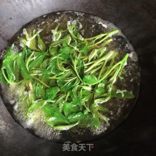 鸡蛋干拌喷鼻椿芽的做法步调：3