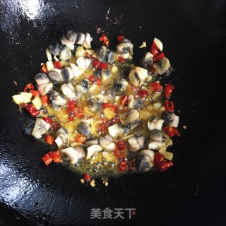 螺蛳肉烧泥鳅的做法步调：4