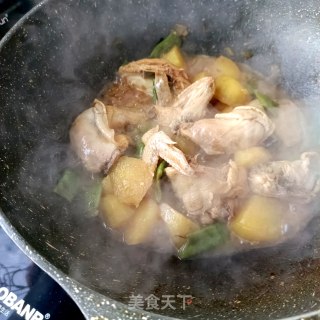 王鸽炖云豆土豆的做法步调：11
