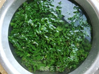 陈肉荠菜莲藕死煎包的做法步调：4