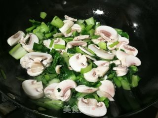 青菜蘑菇汤的做法步调：5