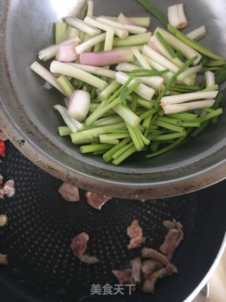 喷鼻葱炒羊肉的做法步调：9