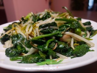 菠菜炒绿芽菜的做法步调：6