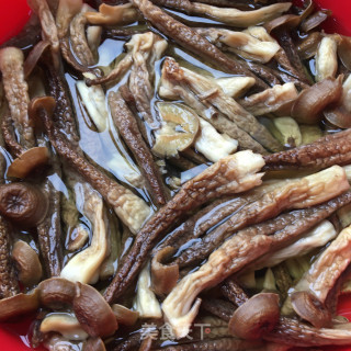 肉终炒鹿茸菇的做法步调：1