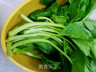 利剑灼菜心的做法步调：1