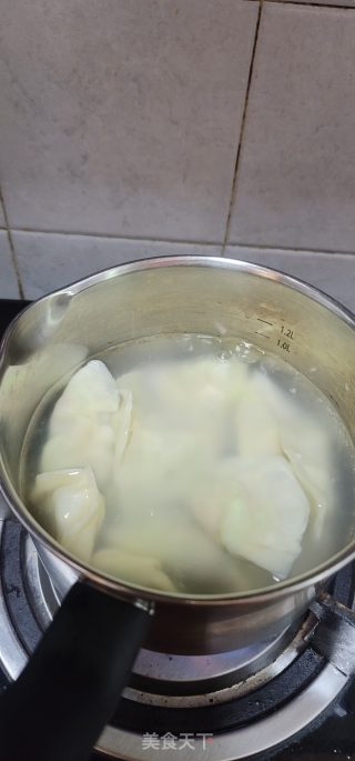 利剑菜猪肉火饺的做法步调：9