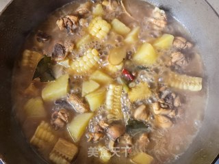 糯玉米土豆炖鸡腿的做法步调：19