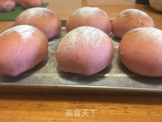 水龙果麻薯硬欧包的做法步调：17