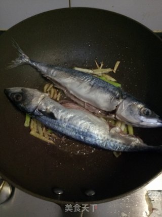白烧鲅鱼的做法步调：4