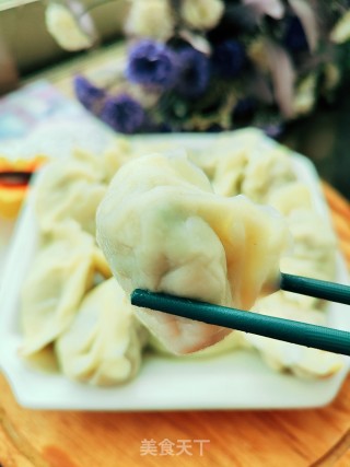 喷鼻菇猪肉馅饺子的做法步调：16