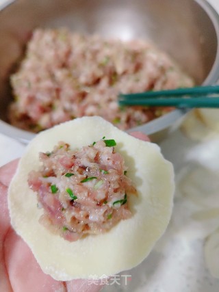 喷鼻菇猪肉馅饺子的做法步调：11