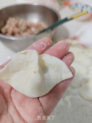 喷鼻菇猪肉馅饺子的做法步调：12