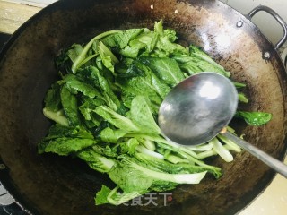 喷鼻菇炒小利剑菜的做法步调：4