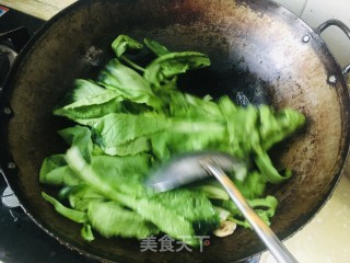 喷鼻菇炒小利剑菜的做法步调：3