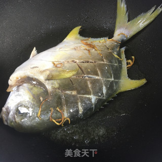 白烧鲳鱼的做法步调：4