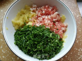 韭菜土豆陈肉煎饺的做法步调：5