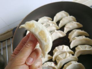 韭菜土豆陈肉煎饺的做法步调：8