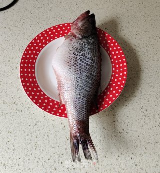 浑蒸鲈魚的做法步调：1