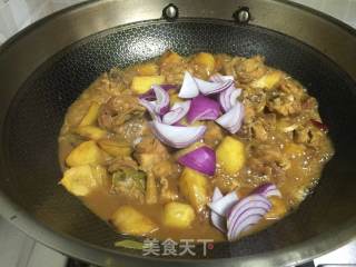 白烧鸡块炖土豆的做法步调：10