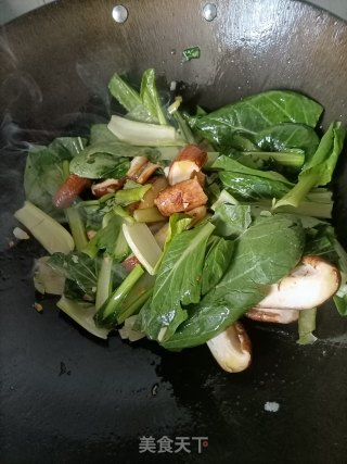 喷鼻菇炒油菜的做法步调：5
