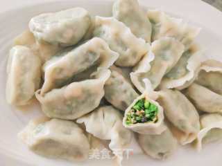 猪肉韭菜三陈火饺的做法步调：16