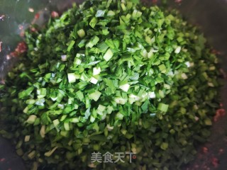 猪肉韭菜三陈火饺的做法步调：10