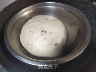 蔓越莓里包的做法步调：2