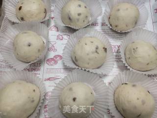 蔓越莓里包的做法步调：5
