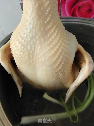 甘旨盐焗鸡的做法步调：5